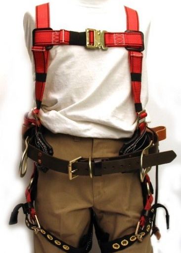 HARNESS COMBO 4D CHEST QC LEG GROM 18/36